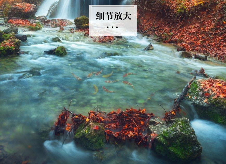 88影视